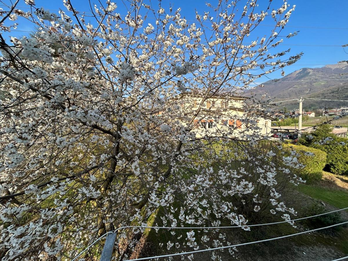 Casa vacanze Reve